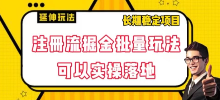 注册流掘金批量玩法，可以实操落地【揭秘】-21资源库