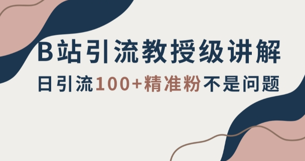 B站引流教授级讲解，细节满满，日引流100+精准粉不是问题【揭秘】-21资源库