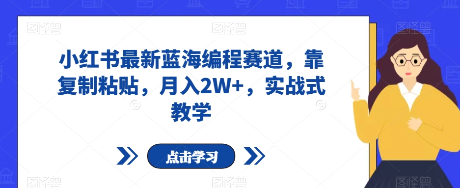 小红书最新蓝海编程赛道，靠复制粘贴，月入2W+，实战式教学【揭秘】-21资源库