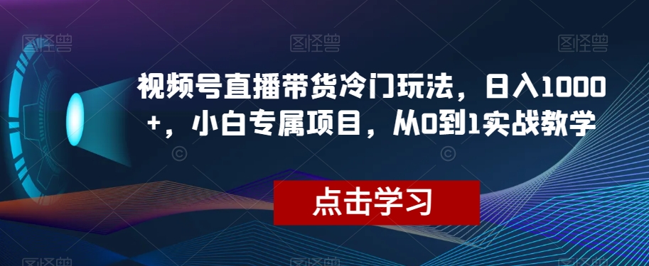 视频号直播带货冷门玩法，日入1000+，小白专属项目，从0到1实战教学【揭秘】-21资源库