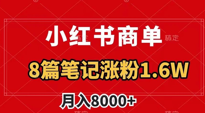 小红书商单最新玩法，8篇笔记涨粉1.6w，作品制作简单，月入8000+【揭秘】-21资源库