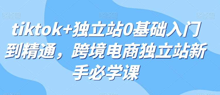 tiktok+独立站0基础入门到精通，跨境电商独立站新手必学课-21资源库