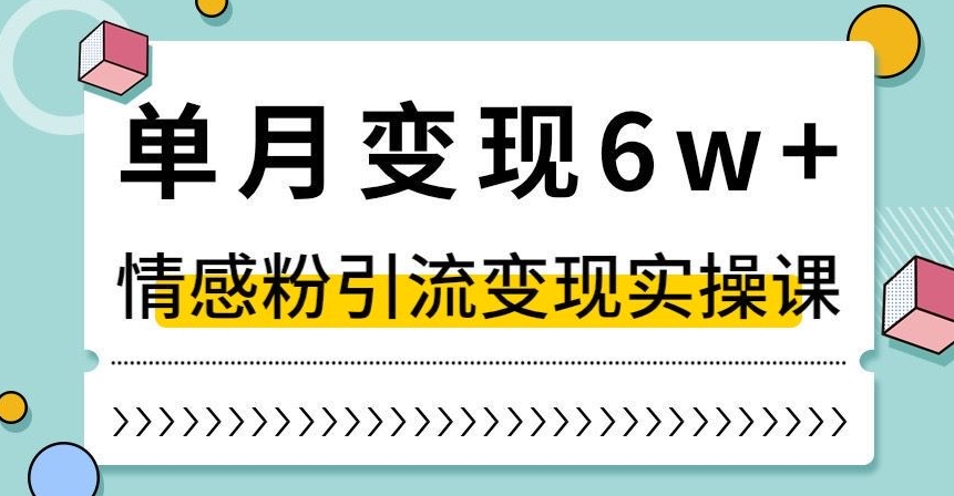 单月变现6W+，抖音情感粉引流变现实操课，小白可做，轻松上手，独家赛道【揭秘】-21资源库