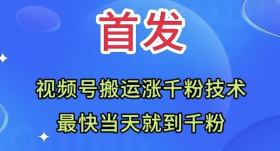 全网首发：视频号无脑搬运涨千粉技术，最快当天到千粉【揭秘】-21资源库