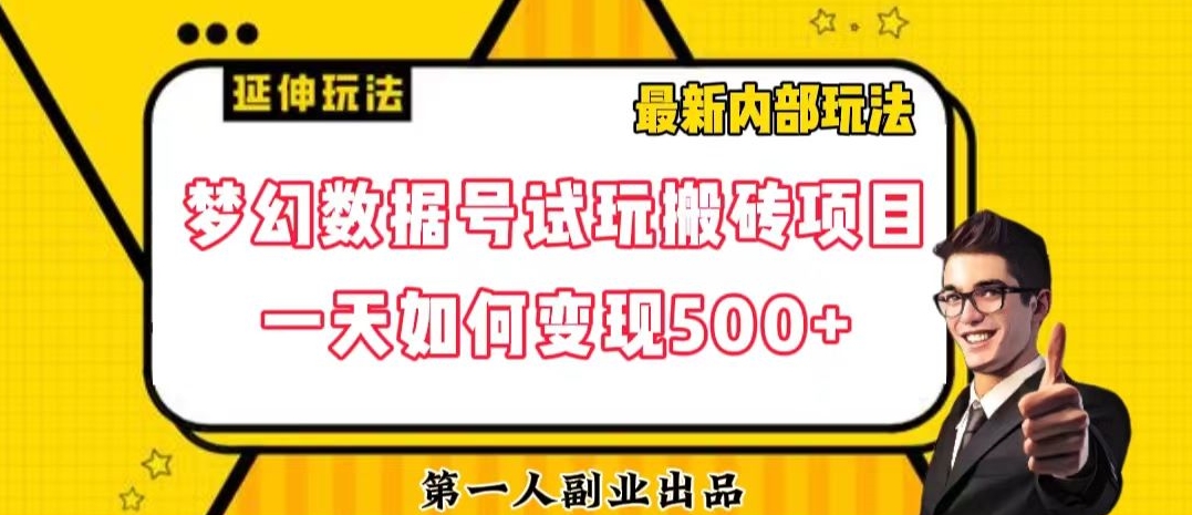 数据号回归玩法游戏试玩搬砖项目再创日入500+【揭秘】-21资源库