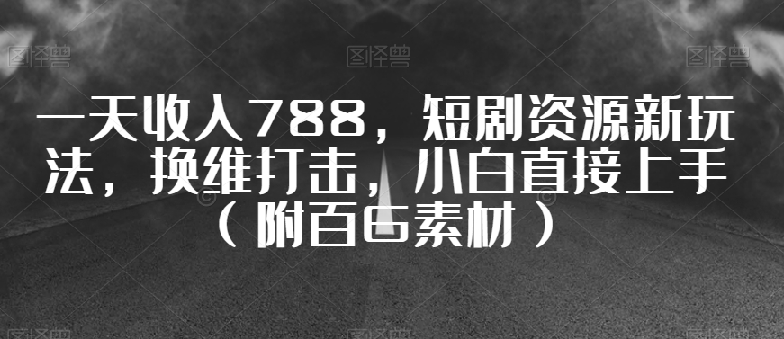 一天收入788，短剧资源新玩法，换维打击，小白直接上手（附百G素材）【揭秘】-21资源库