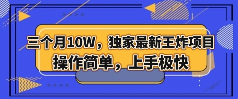 三个月10W，独家最新王炸项目！操作简单，上手极快【揭秘】-21资源库