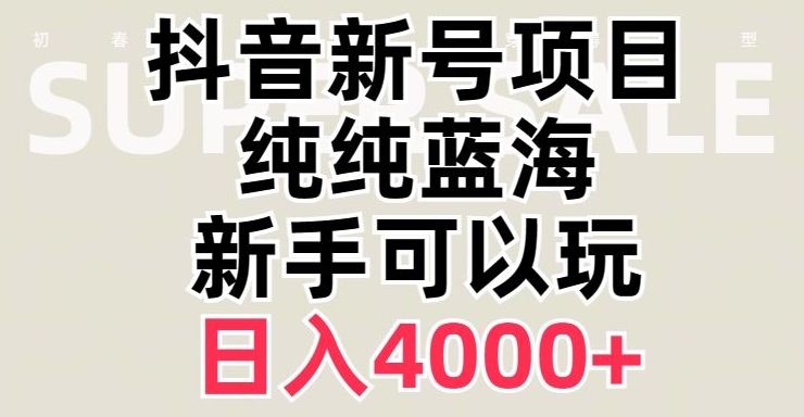 抖音蓝海赛道，必须是新账号，日入4000+【揭秘】-21资源库