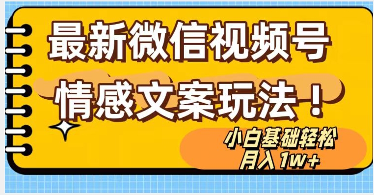微信视频号情感文案最新玩法，小白轻松月入1万+无脑搬运【揭秘】-21资源库