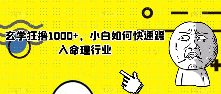 玄学狂撸1000+，小白如何快速跨入命理行业【揭秘】-21资源库
