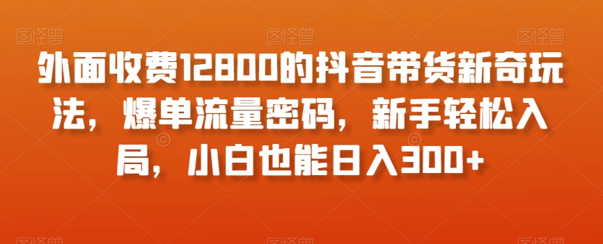 外面收费12800的抖音带货新奇玩法，爆单流量密码，新手轻松入局，小白也能日入300+【揭秘】-21资源库