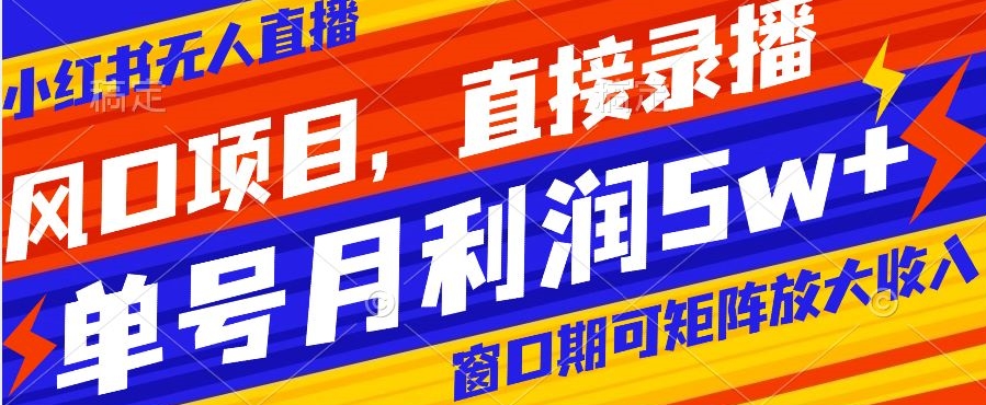 风口项目，小红书无人直播带货，直接录播，可矩阵，月入5w+【揭秘】-21资源库