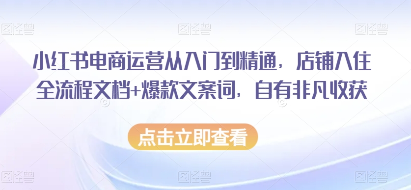 小红书电商运营从入门到精通，店铺入住全流程文档+爆款文案词，自有非凡收获-21资源库