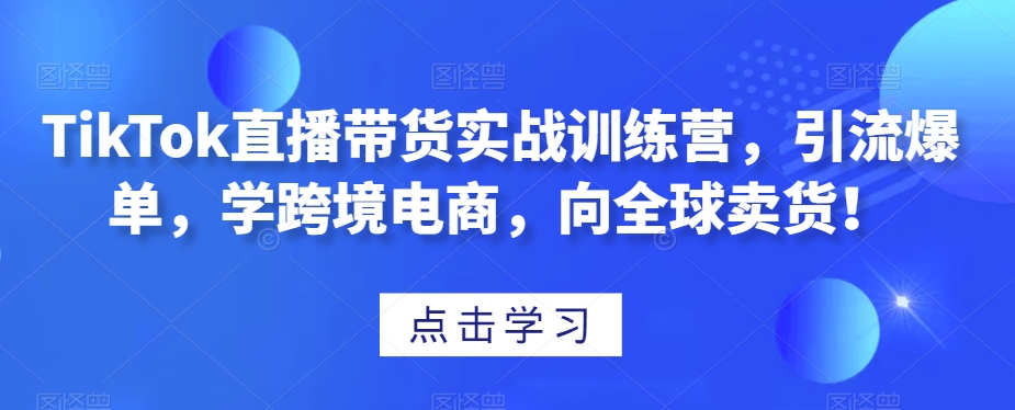 TikTok直播带货实战训练营，引流爆单，学跨境电商，向全球卖货！-21资源库