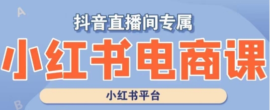 小红书电商高级运营课程，实操教学+案例分析-21资源库