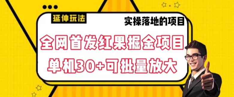 全网首发红果免费短剧掘金项目，单机30+可批量放大【揭秘】-21资源库