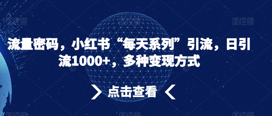 流量密码，小红书“每天系列”引流，日引流1000+，多种变现方式【揭秘】-21资源库