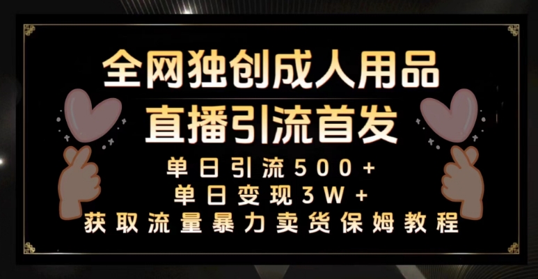 全网独创真人主播+无人直播单日引流500+，橙人用品暴力卖货单日变现3W+保姆似教学2.0【揭秘】-21资源库