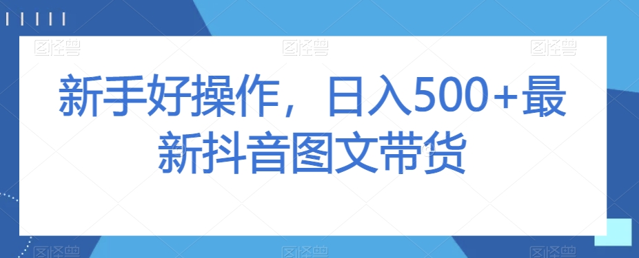 新手好操作，日入500+最新抖音图文带货【揭秘】-21资源库