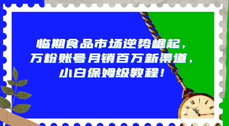 临期食品市场逆势崛起，万粉账号月销百万新渠道，小白保姆级教程【揭秘】-21资源库