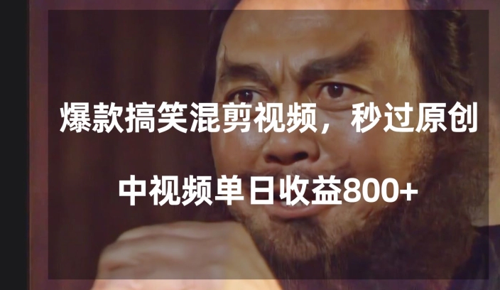 爆款搞笑混剪视频，百分百过原创，单日中视频播放收益800+【揭秘】-21资源库