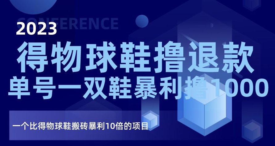 2023得物球鞋撸退款，单号一双鞋暴利撸1000，一个比得物球鞋搬砖暴利10倍的项目【揭秘】-21资源库