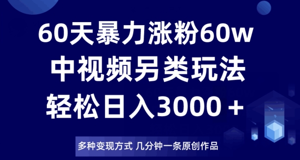 60天暴力涨粉60W，中视频另类玩法，日入3000＋，几分钟一条原创作品多种变现方式-21资源库