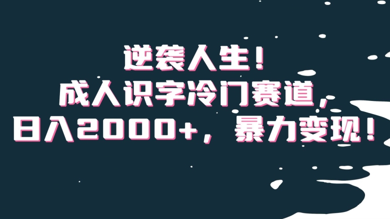 逆袭人生！成人识字冷门赛道，日入2000+，暴力变现！【揭秘】-21资源库