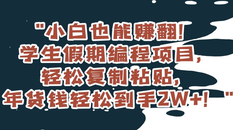 小白也能赚翻！学生假期编程项目，轻松复制粘贴，年货钱轻松到手2W+【揭秘】-21资源库