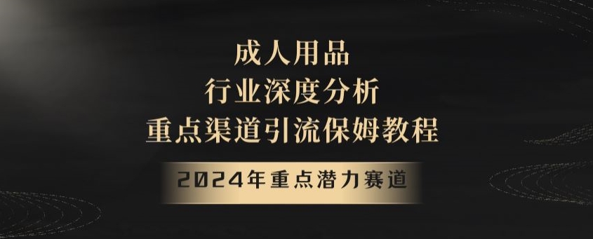 2024年重点潜力赛道，成人用品行业深度分析，重点渠道引流保姆教程【揭秘】-21资源库