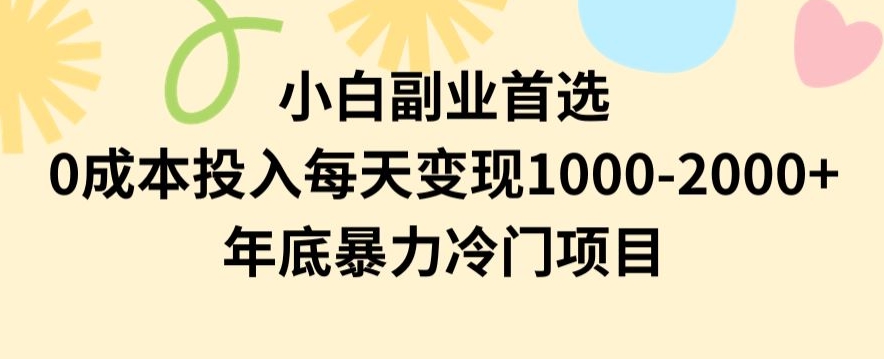 小白副业首选，0成本投入，每天变现1000-2000年底暴力冷门项目【揭秘】-21资源库
