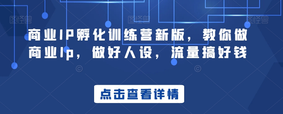 商业IP孵化训练营新版，教你做商业Ip，做好人设，流量搞好钱-21资源库