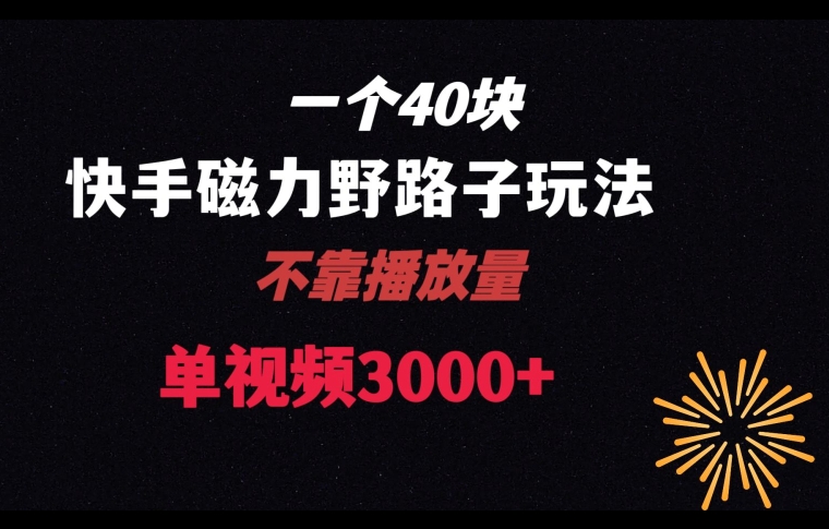 一个40块，快手联合美团磁力新玩法，无视机制野路子玩法，单视频收益4位数【揭秘】-21资源库
