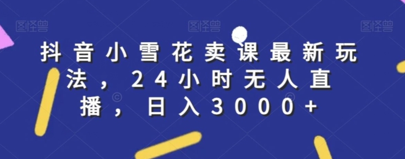 抖音小雪花卖课最新玩法，24小时无人直播，日入3000+【揭秘】-21资源库