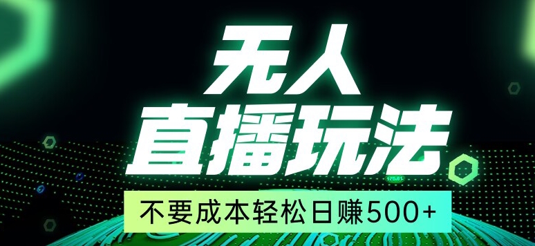 全网首发24年最新无人直播玩法，不需要成本，无需人力，一台电脑24小时为你工作-21资源库