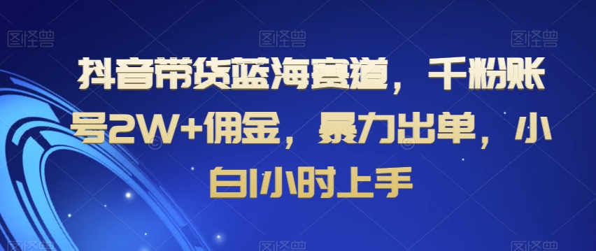 抖音带货蓝海赛道，千粉账号2W+佣金，暴力出单，小白1小时上手【揭秘】-21资源库