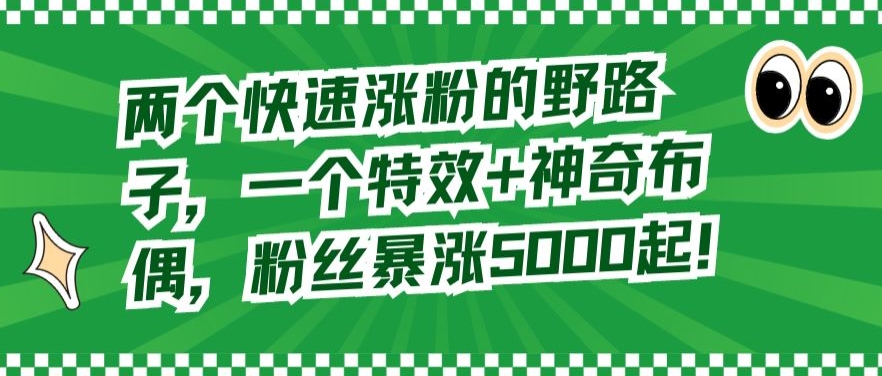 两个快速涨粉的野路子，一个特效+神奇布偶，粉丝暴涨5000起【揭秘】-21资源库