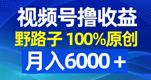 视频号野路子撸收益，100%原创，条条爆款，月入6000＋【揭秘】-21资源库