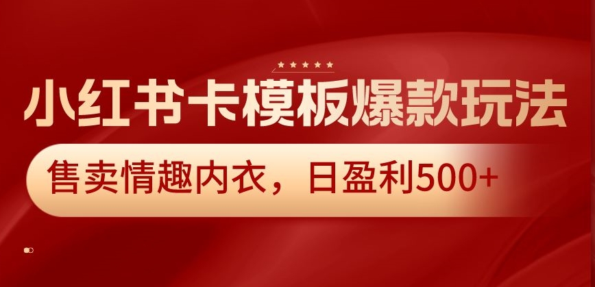 小红书卡模板爆款玩法，售卖情趣内衣，日盈利500+【揭秘】-21资源库