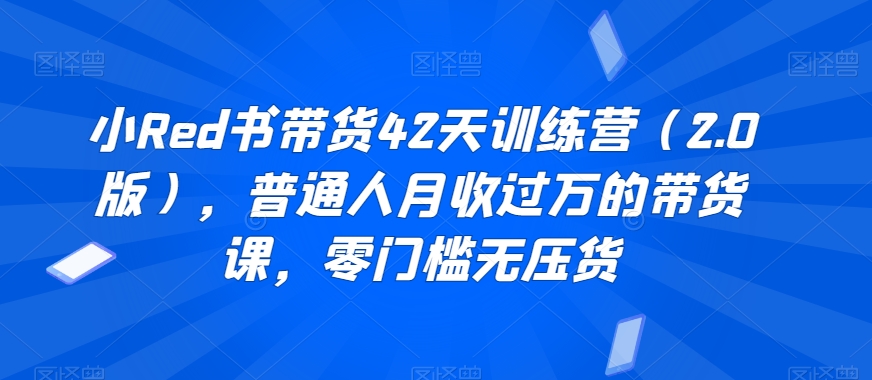 小Red书带货42天训练营（2.0版），普通人月收过万的带货课，零门槛无压货-21资源库