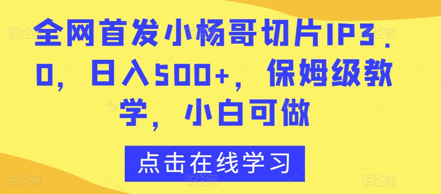 全网首发小杨哥切片IP3.0，日入500+，保姆级教学，小白可做【揭秘】-21资源库