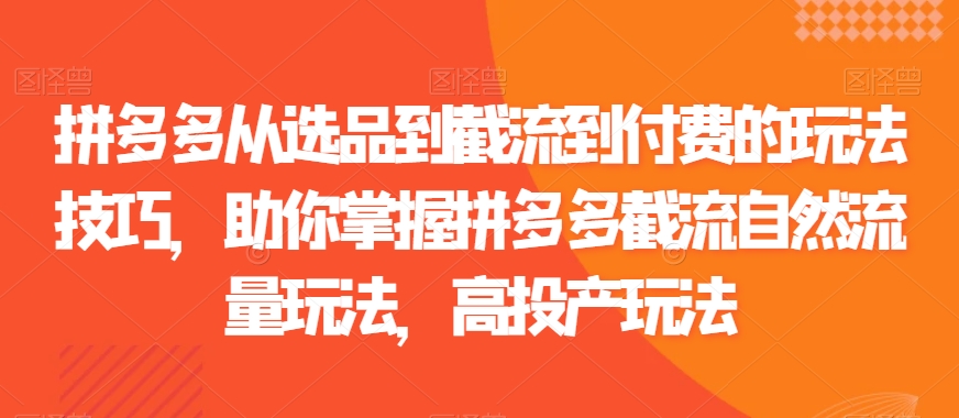 拼多多从选品到截流到付费的玩法技巧，助你掌握拼多多截流自然流量玩法，高投产玩法-21资源库