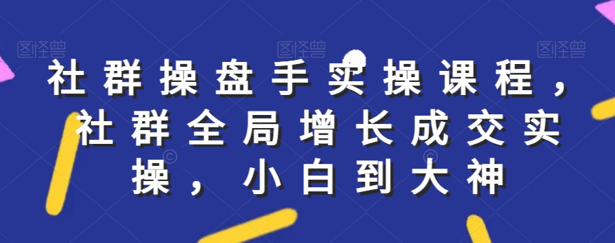 社群实操课程，社群全局增长成交实操，小白到大神-21资源库