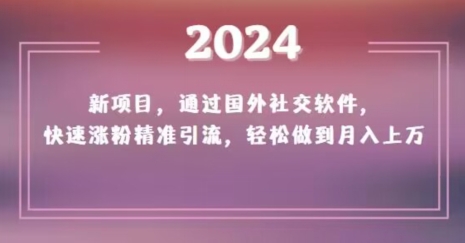2024新项目，通过国外社交软件，快速涨粉精准引流，轻松做到月入上万【揭秘】-21资源库