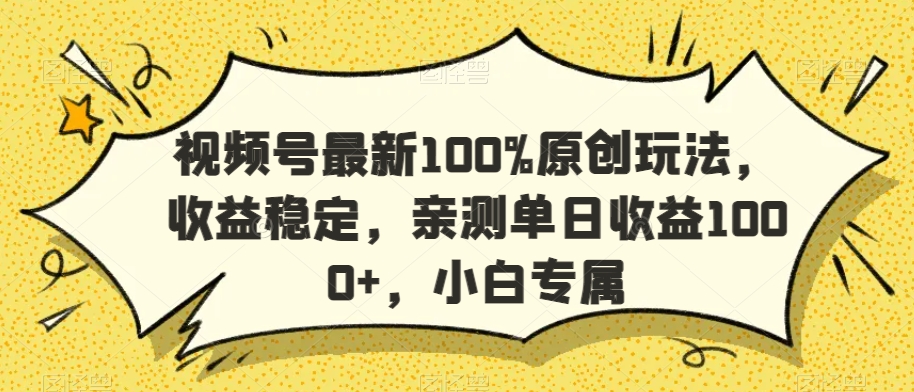 视频号最新100%原创玩法，收益稳定，亲测单日收益1000+，小白专属【揭秘】-21资源库