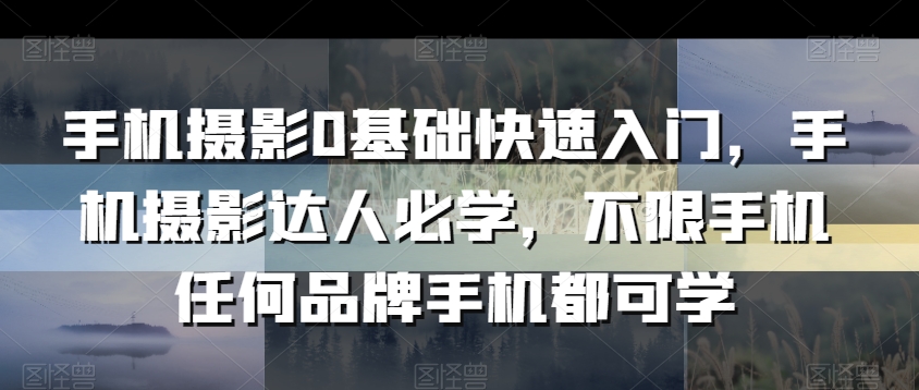 手机摄影0基础快速入门，手机摄影达人必学，不限手机任何品牌手机都可学-21资源库