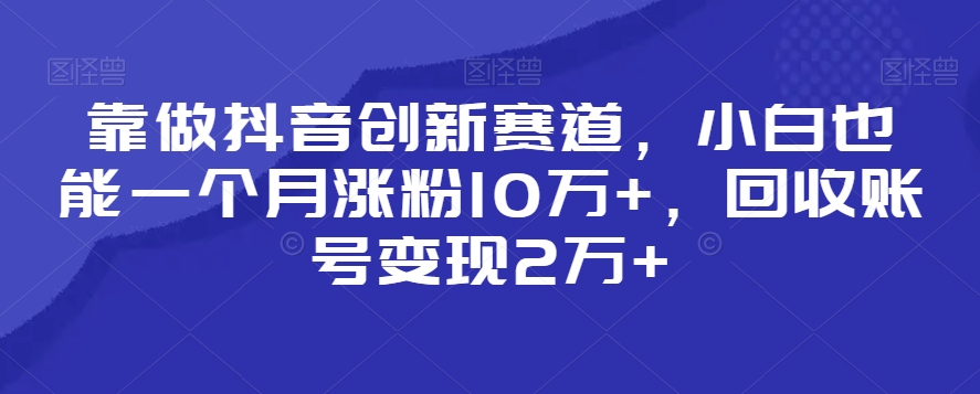 靠做抖音创新赛道，小白也能一个月涨粉10万+，回收账号变现2万+【揭秘】-21资源库
