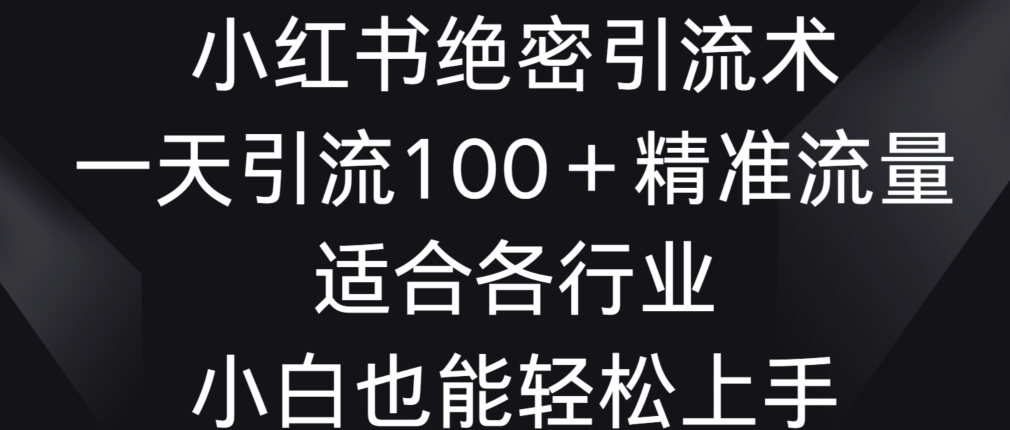小红书绝密引流术，一天引流100+精准流量，适合各个行业，小白也能轻松上手【揭秘】-21资源库