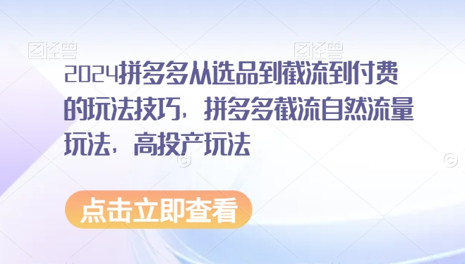 2024拼多多从选品到截流到付费的玩法技巧，拼多多截流自然流量玩法，高投产玩法-21资源库
