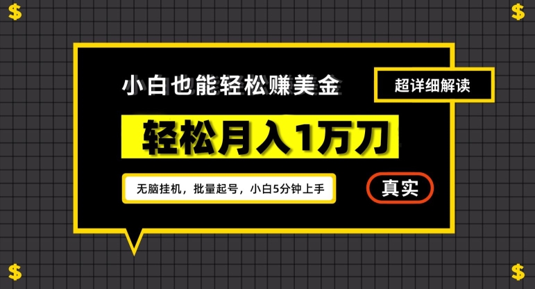 谷歌看广告撸美金2.0，无脑挂机，多号操作，月入1万刀【揭秘】-21资源库